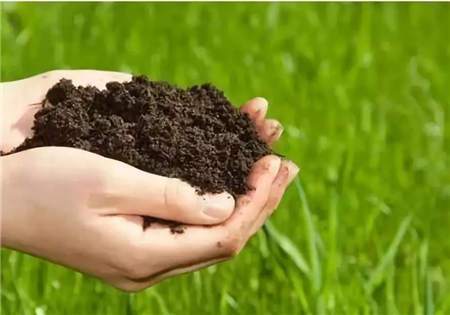 很多时候,我们肥料生产企业研发生产出一款绿色,高效,丰产丰收的新